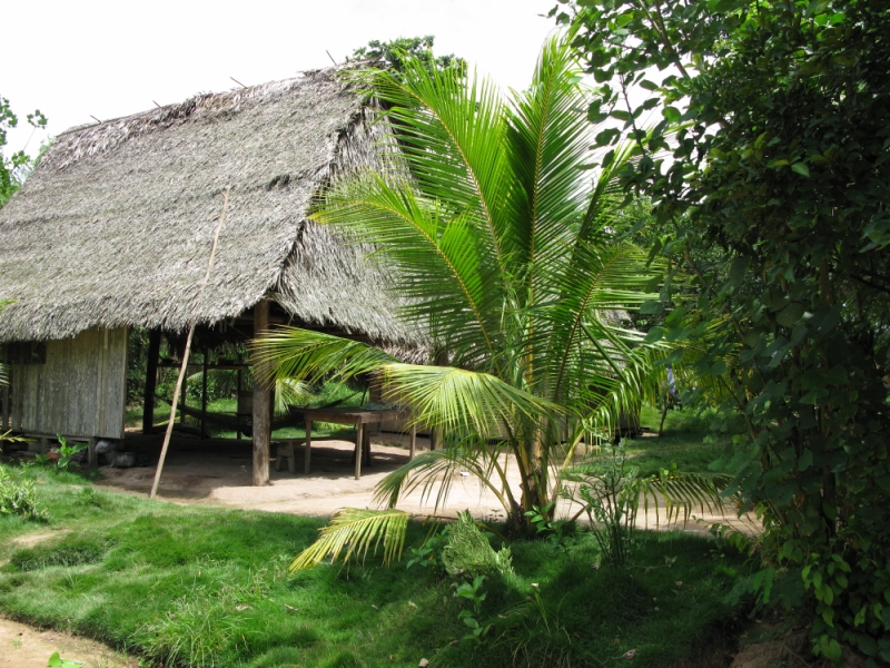 Перуанские хроники