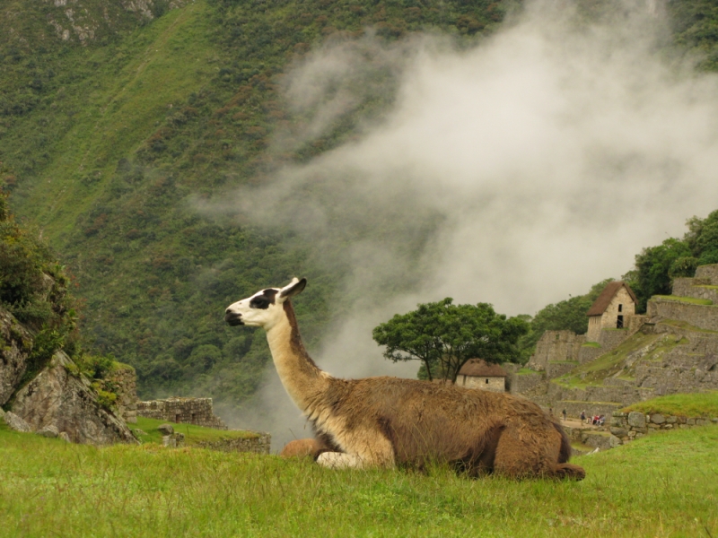 Перуанские хроники