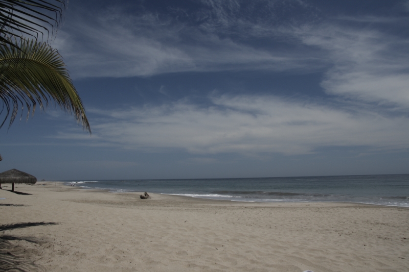 Перуанские хроники