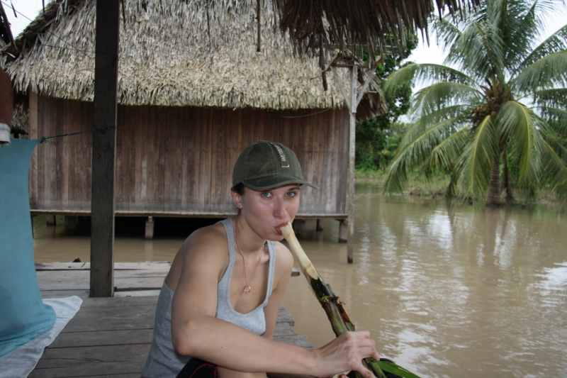 Перуанские хроники