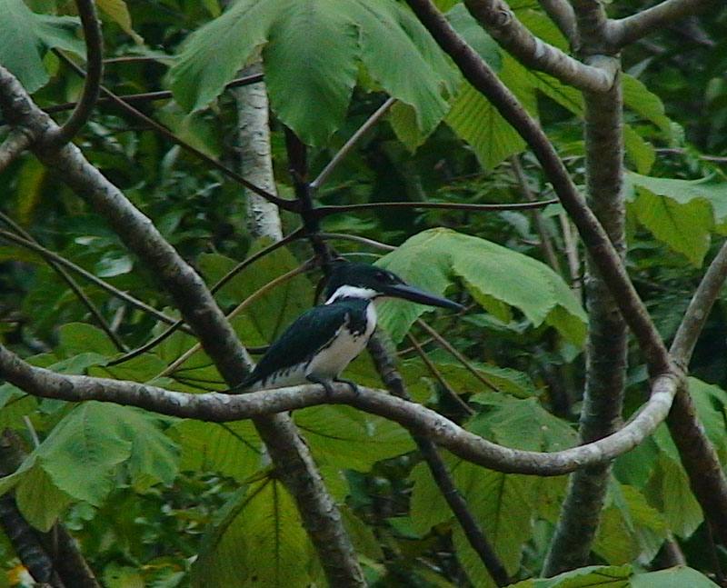 Перу и Боливия: если никуда не спешить. Ещё больше фото.