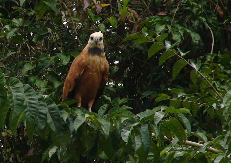Перу и Боливия: если никуда не спешить. Ещё больше фото.