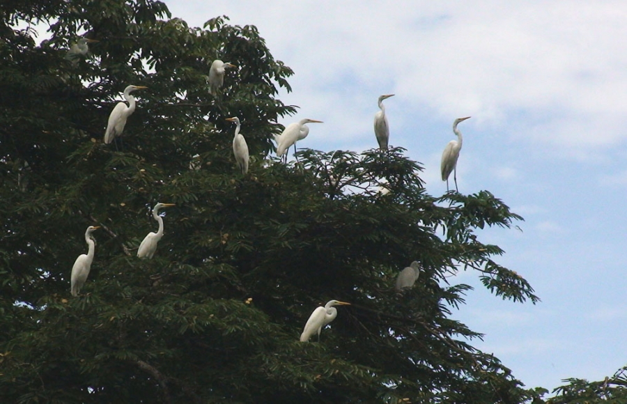 Перу и Боливия: если никуда не спешить. Ещё больше фото.
