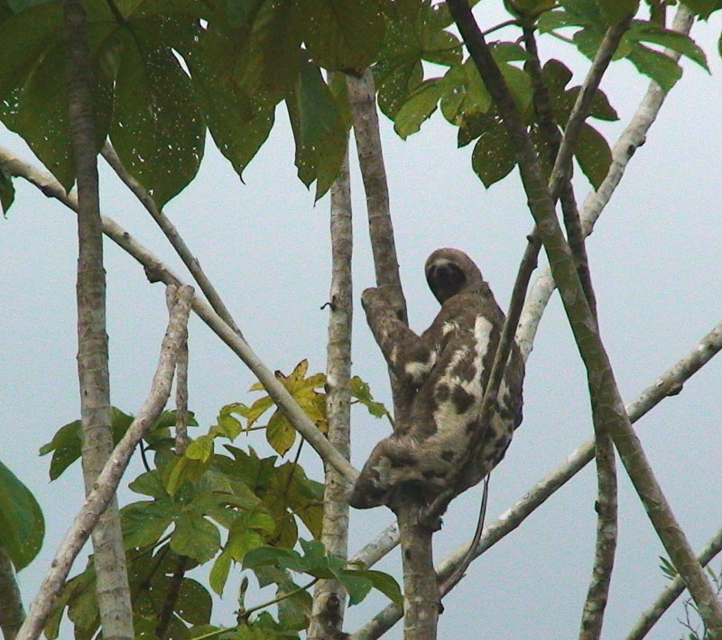 Перу и Боливия: если никуда не спешить. Ещё больше фото.
