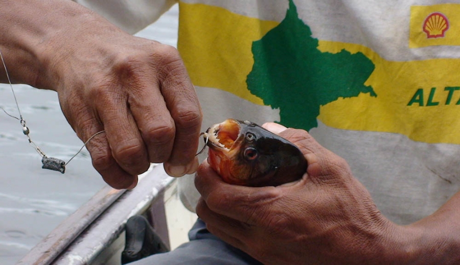 Перу и Боливия: если никуда не спешить. Ещё больше фото.