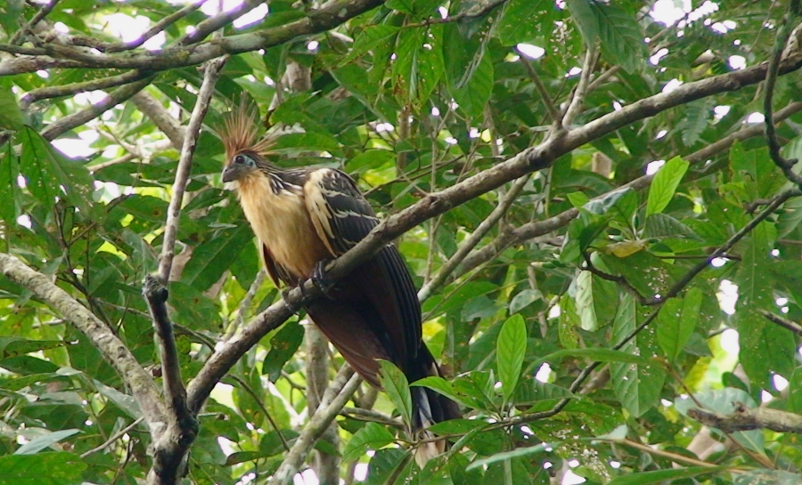 Перу и Боливия: если никуда не спешить. Ещё больше фото.