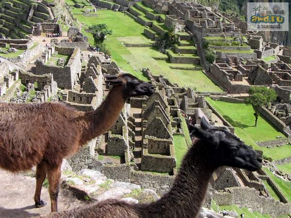 Лирическое повествование о поездке в Перу - Еl Dorado