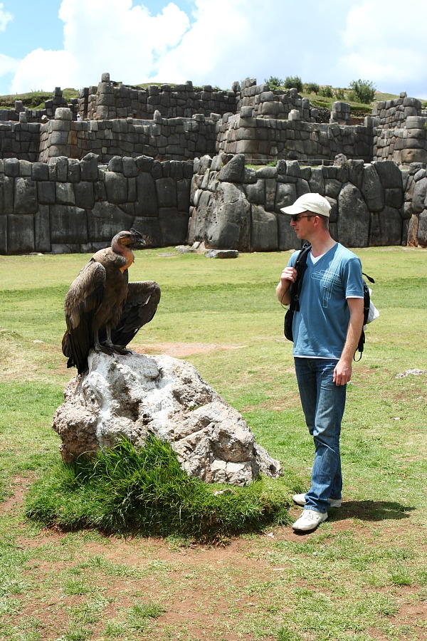 Птицы в фотографиях из путешествий