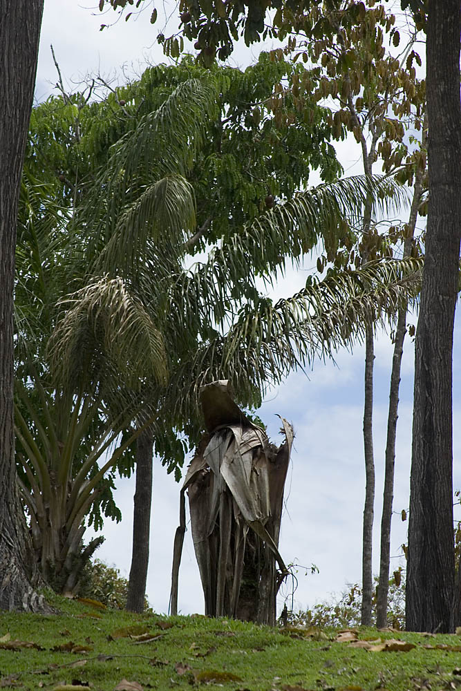 Перу и Боливия: если никуда не спешить. Ещё больше фото.