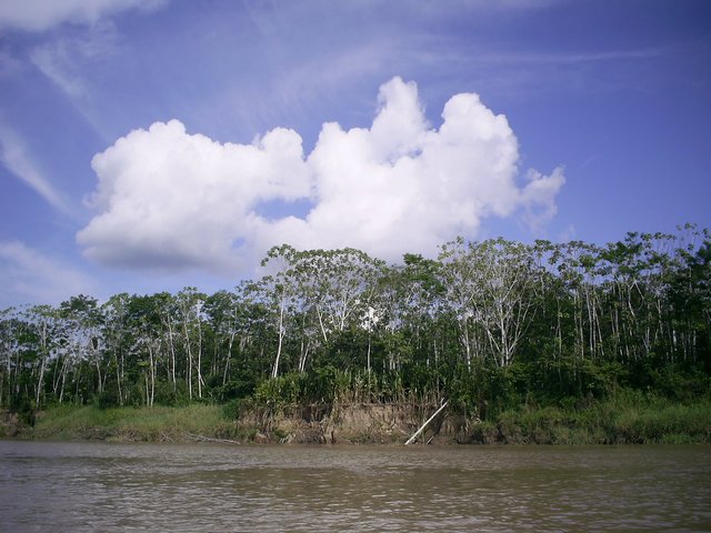 Хождение в индейцы