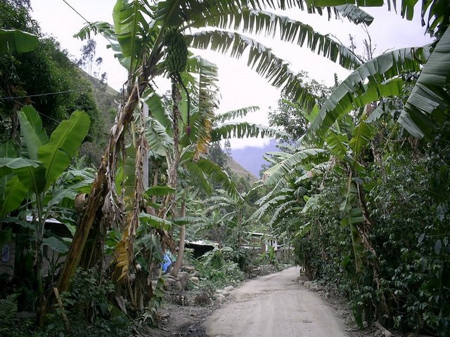 Хождение в индейцы