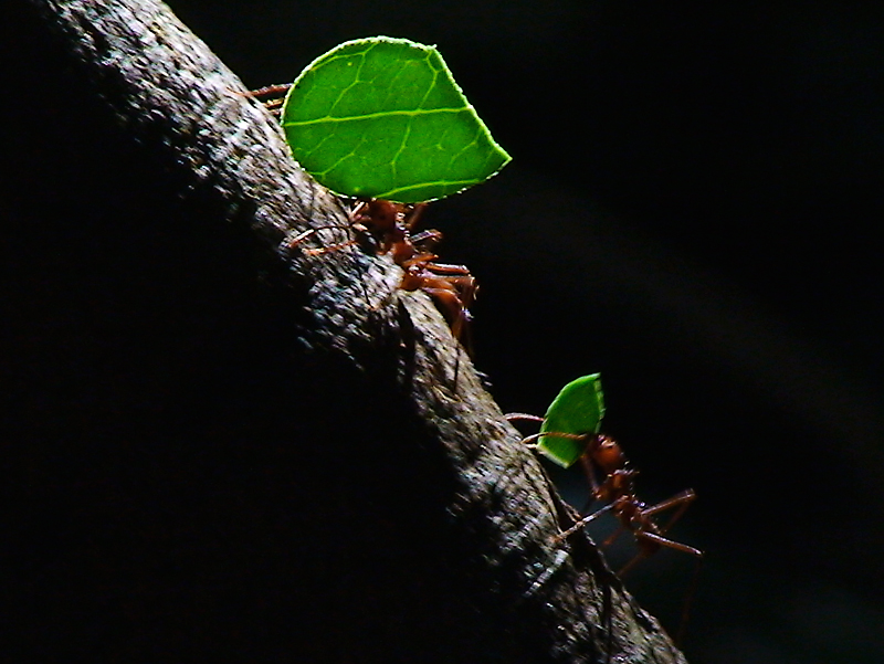 Перу и Боливия: если никуда не спешить. Ещё больше фото.