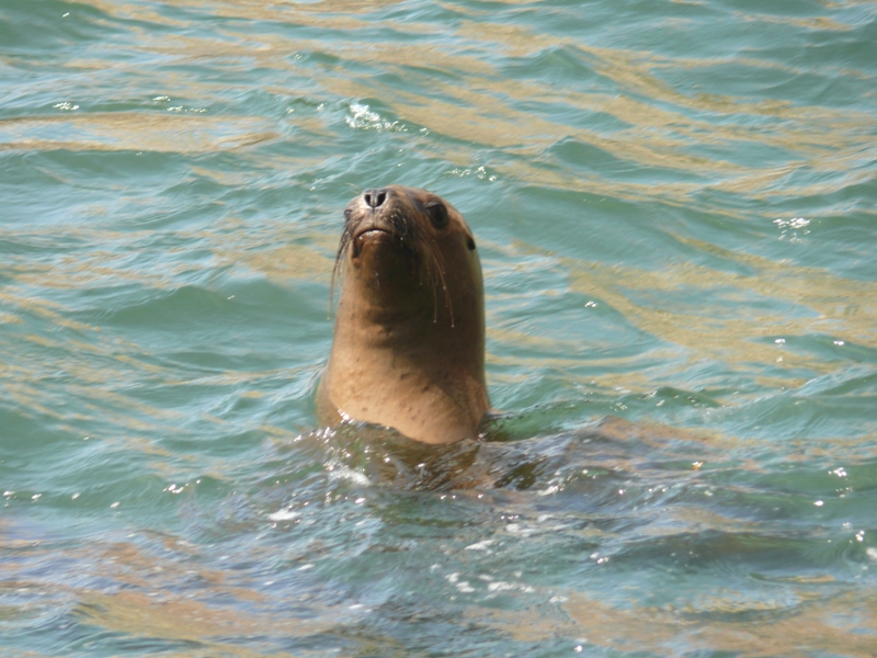 Перу, октябрь 2008: первый опыт самостоятельного путешествия