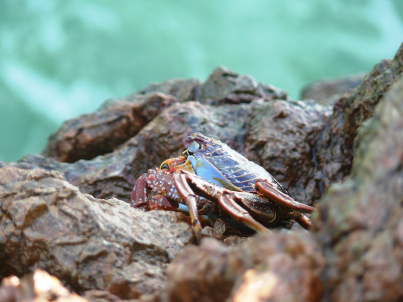 Перу, октябрь 2008: первый опыт самостоятельного путешествия