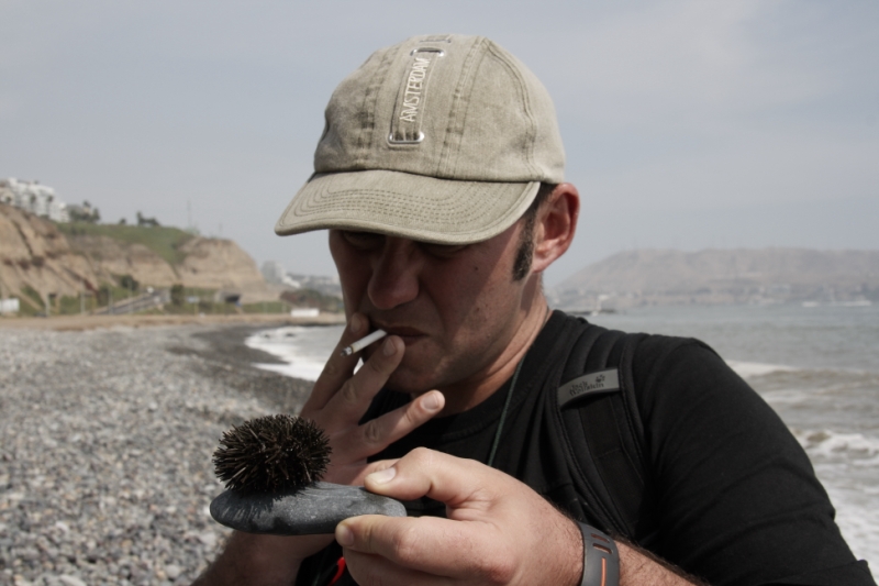 Перуанские хроники