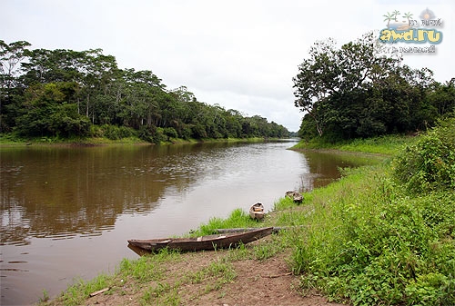 Выжить в джунглях Амазонки Икитос Перу
