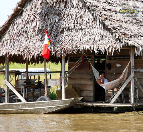 Выжить в джунглях Амазонки Икитос Перу
