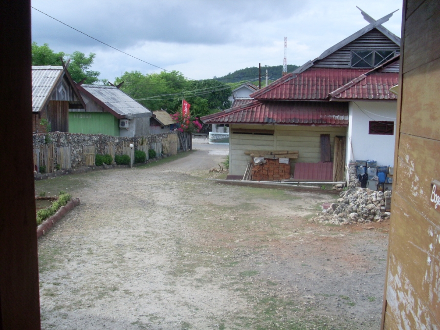 Отчет южный Сулавеси