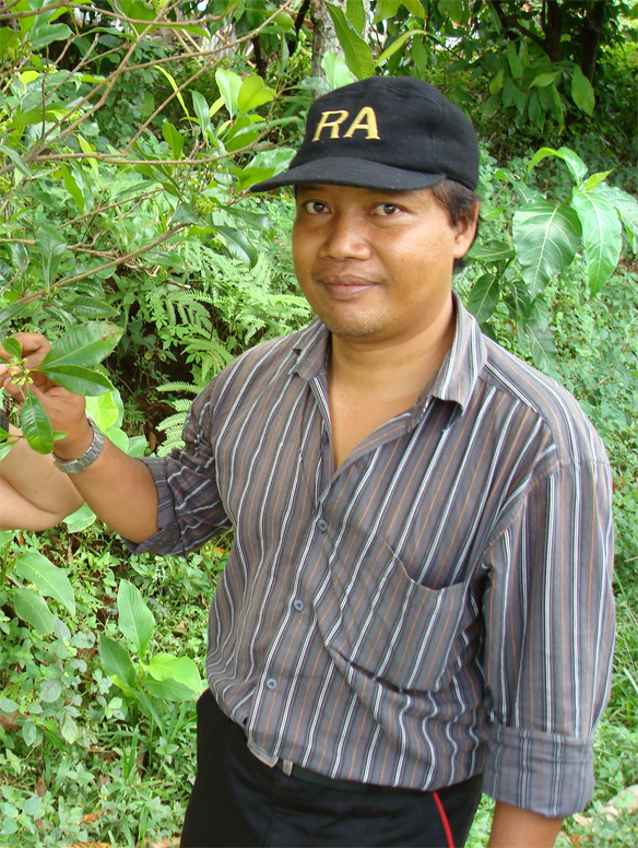 Англоязычные гиды-водители на Бали: впечатления/рекомендации