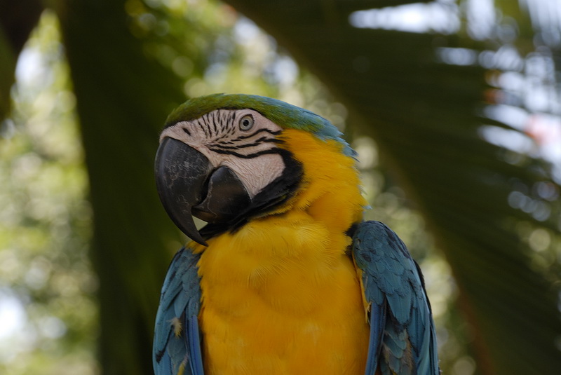 Сумма нескольких визитов на Бали (фото, трафик) Сумма нескольких визитов на Бали (фото, трафик)