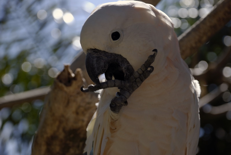 Сумма нескольких визитов на Бали (фото, трафик) Сумма нескольких визитов на Бали (фото, трафик)