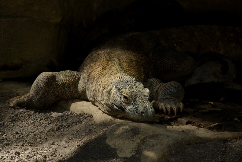 Сумма нескольких визитов на Бали (фото, трафик) Сумма нескольких визитов на Бали (фото, трафик)