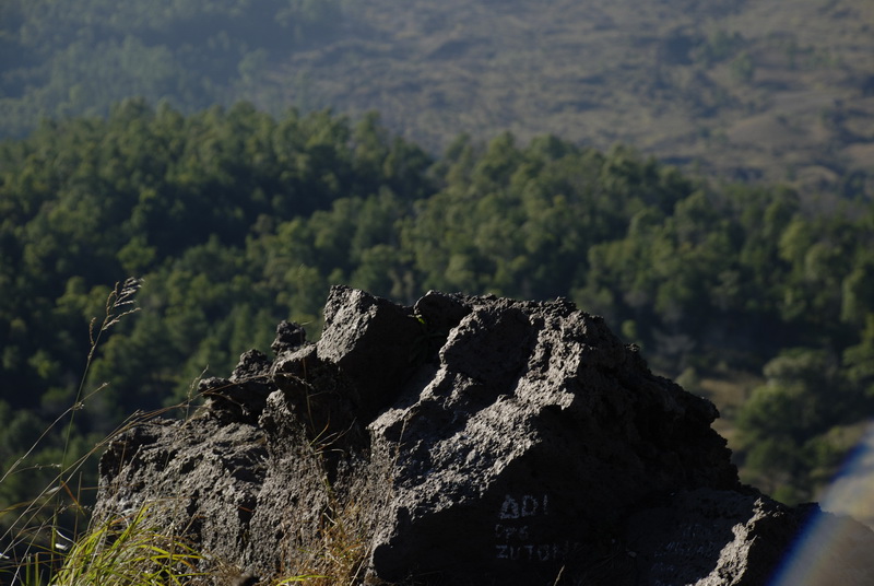 Сумма нескольких визитов на Бали (фото, трафик)