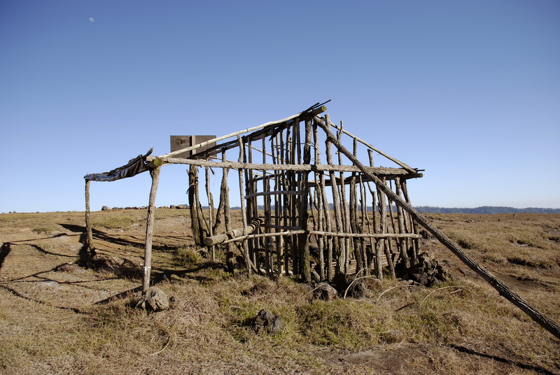 Сумма нескольких визитов на Бали (фото, трафик) Сумма нескольких визитов на Бали (фото, трафик)