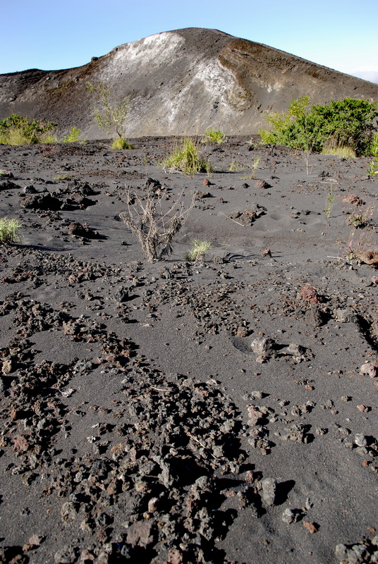 Сумма нескольких визитов на Бали (фото, трафик) Сумма нескольких визитов на Бали (фото, трафик)