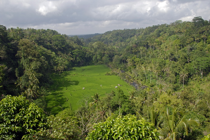 Сумма нескольких визитов на Бали (фото, трафик) Сумма нескольких визитов на Бали (фото, трафик)