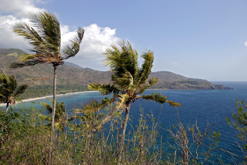Сумма нескольких визитов на Бали (фото, трафик) Сумма нескольких визитов на Бали (фото, трафик)