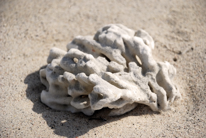 Сумма нескольких визитов на Бали (фото, трафик) Сумма нескольких визитов на Бали (фото, трафик)