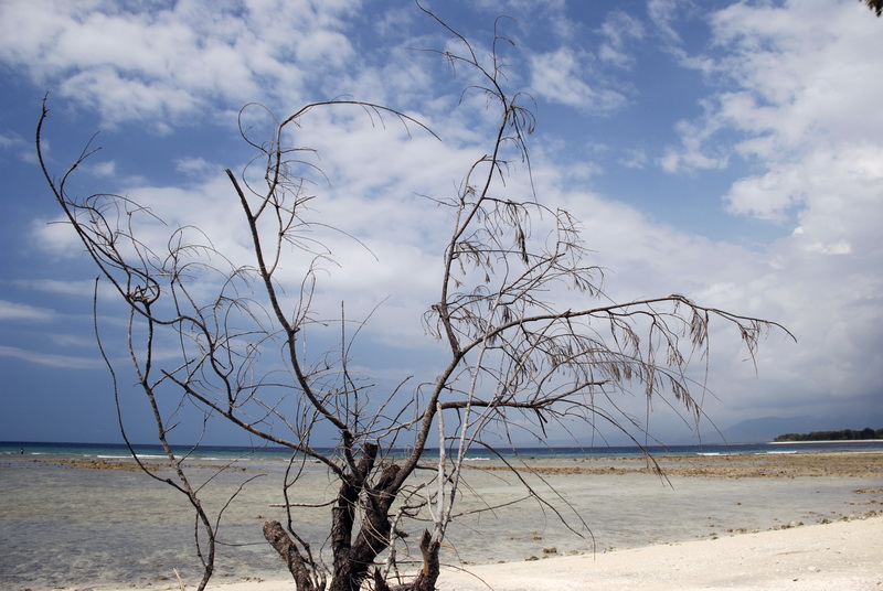 Сумма нескольких визитов на Бали (фото, трафик) Сумма нескольких визитов на Бали (фото, трафик)