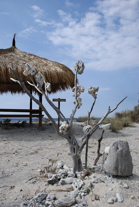 Сумма нескольких визитов на Бали (фото, трафик) Сумма нескольких визитов на Бали (фото, трафик)