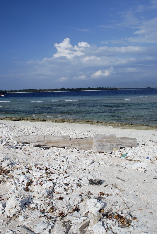 Сумма нескольких визитов на Бали (фото, трафик) Сумма нескольких визитов на Бали (фото, трафик)