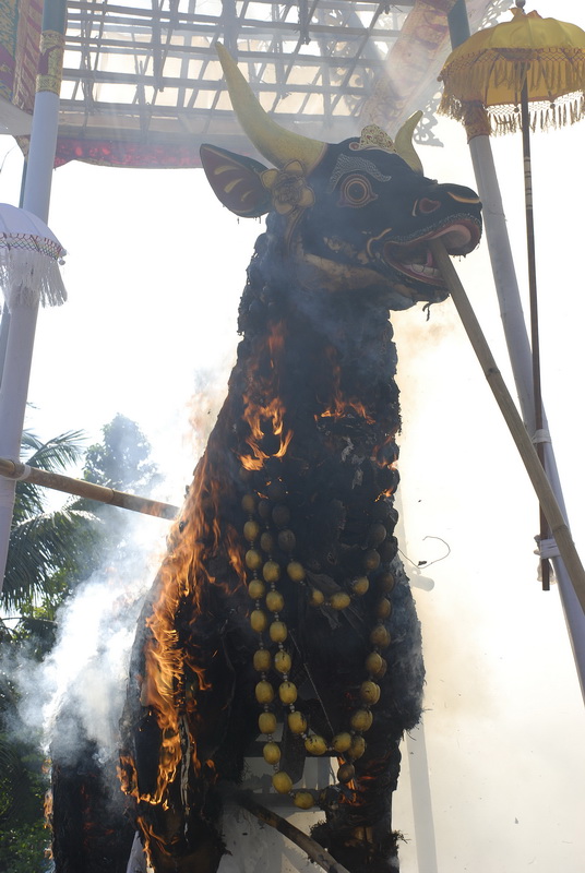 Сумма нескольких визитов на Бали (фото, трафик) Сумма нескольких визитов на Бали (фото, трафик)