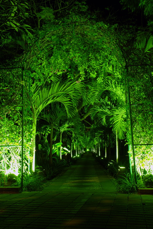 Сумма нескольких визитов на Бали (фото, трафик) Сумма нескольких визитов на Бали (фото, трафик)