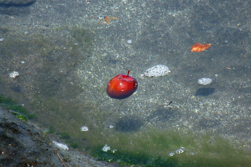 Сумма нескольких визитов на Бали (фото, трафик)