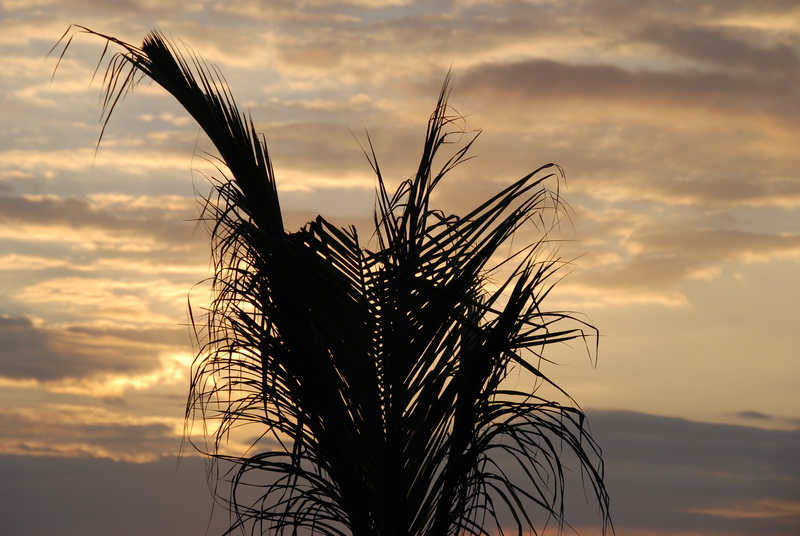 Сумма нескольких визитов на Бали (фото, трафик)