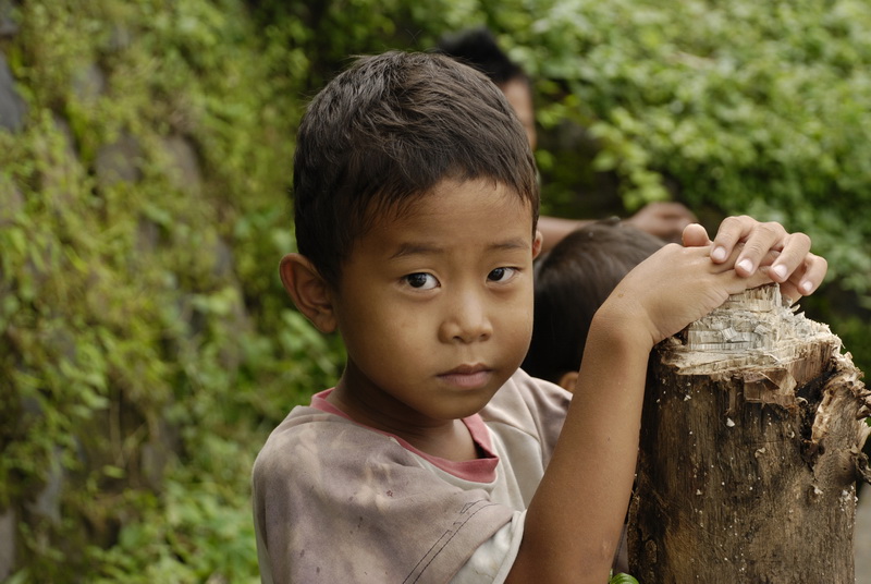 Сумма нескольких визитов на Бали (фото, трафик) Сумма нескольких визитов на Бали (фото, трафик)