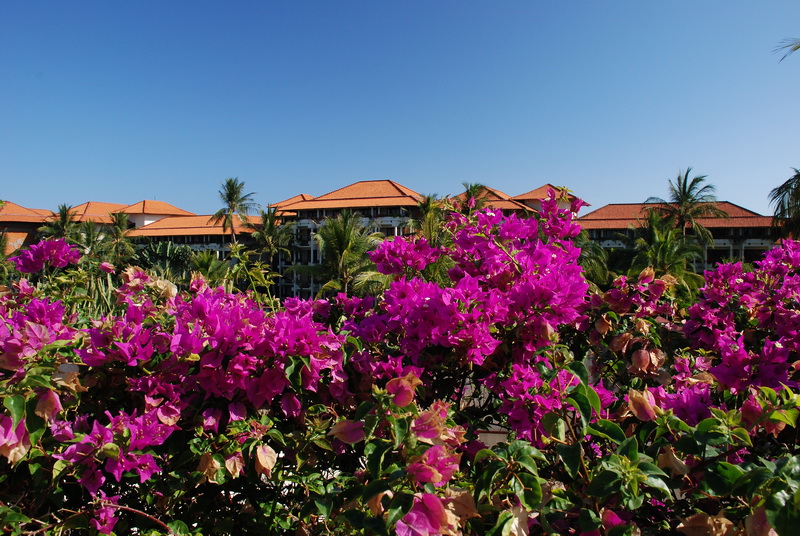 Сумма нескольких визитов на Бали (фото, трафик) Сумма нескольких визитов на Бали (фото, трафик)