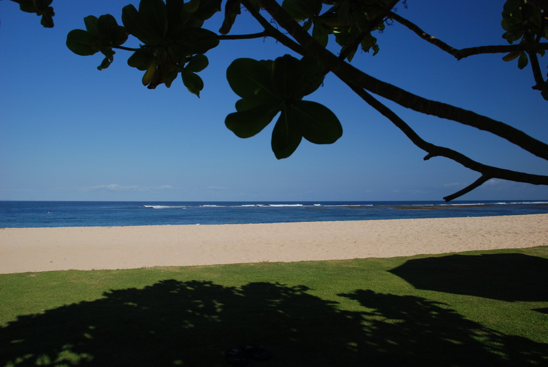Сумма нескольких визитов на Бали (фото, трафик) Сумма нескольких визитов на Бали (фото, трафик)