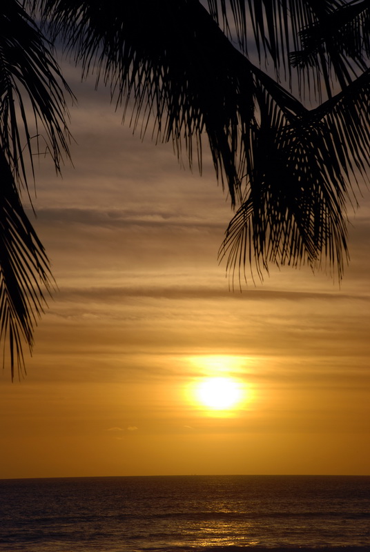 Сумма нескольких визитов на Бали (фото, трафик) Сумма нескольких визитов на Бали (фото, трафик)