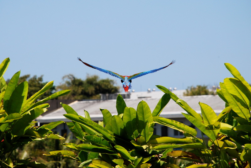 Сумма нескольких визитов на Бали (фото, трафик) Сумма нескольких визитов на Бали (фото, трафик)