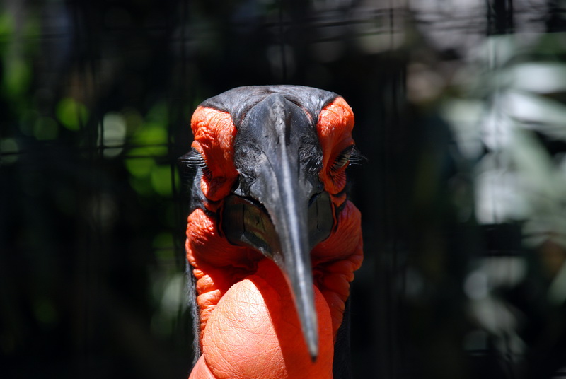 Сумма нескольких визитов на Бали (фото, трафик) Сумма нескольких визитов на Бали (фото, трафик)
