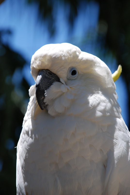 Сумма нескольких визитов на Бали (фото, трафик) Сумма нескольких визитов на Бали (фото, трафик)