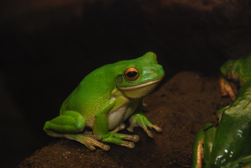 Сумма нескольких визитов на Бали (фото, трафик) Сумма нескольких визитов на Бали (фото, трафик)