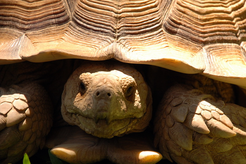 Сумма нескольких визитов на Бали (фото, трафик) Сумма нескольких визитов на Бали (фото, трафик)