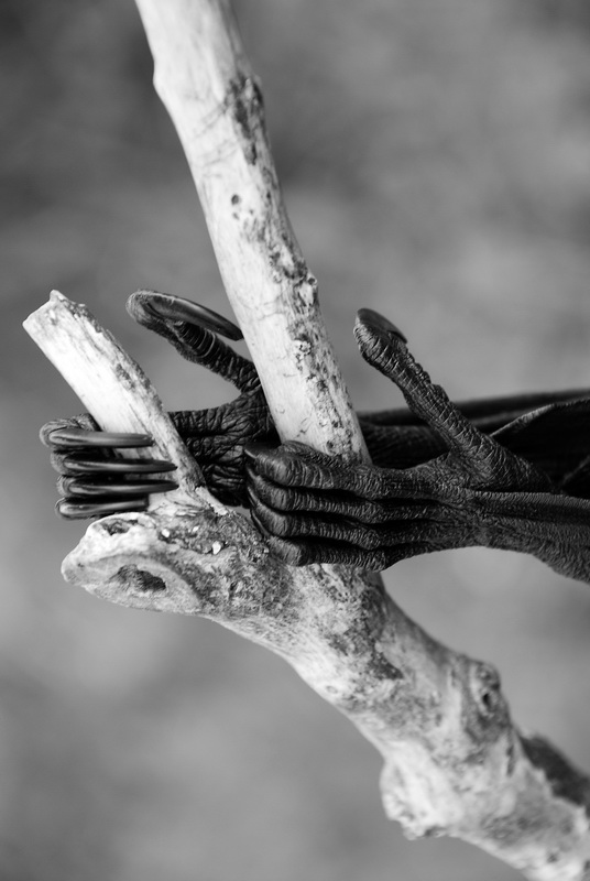 Сумма нескольких визитов на Бали (фото, трафик) Сумма нескольких визитов на Бали (фото, трафик)