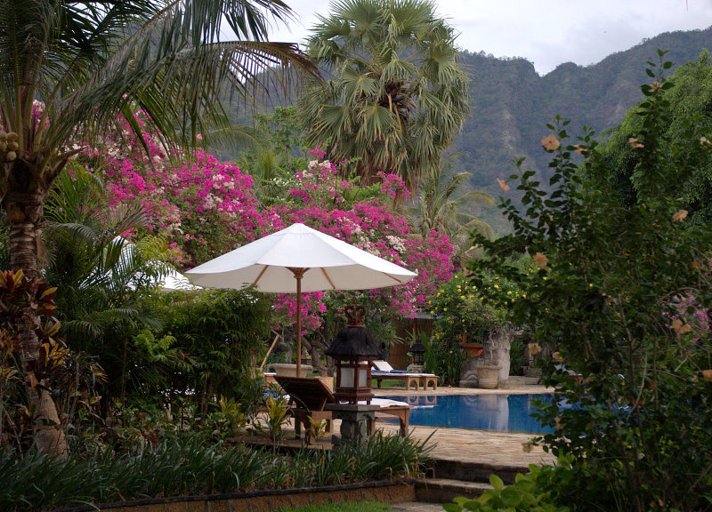 Бали. Воспоминания о декабре 2007 года. Бали. Воспоминания о декабре 2007 года.